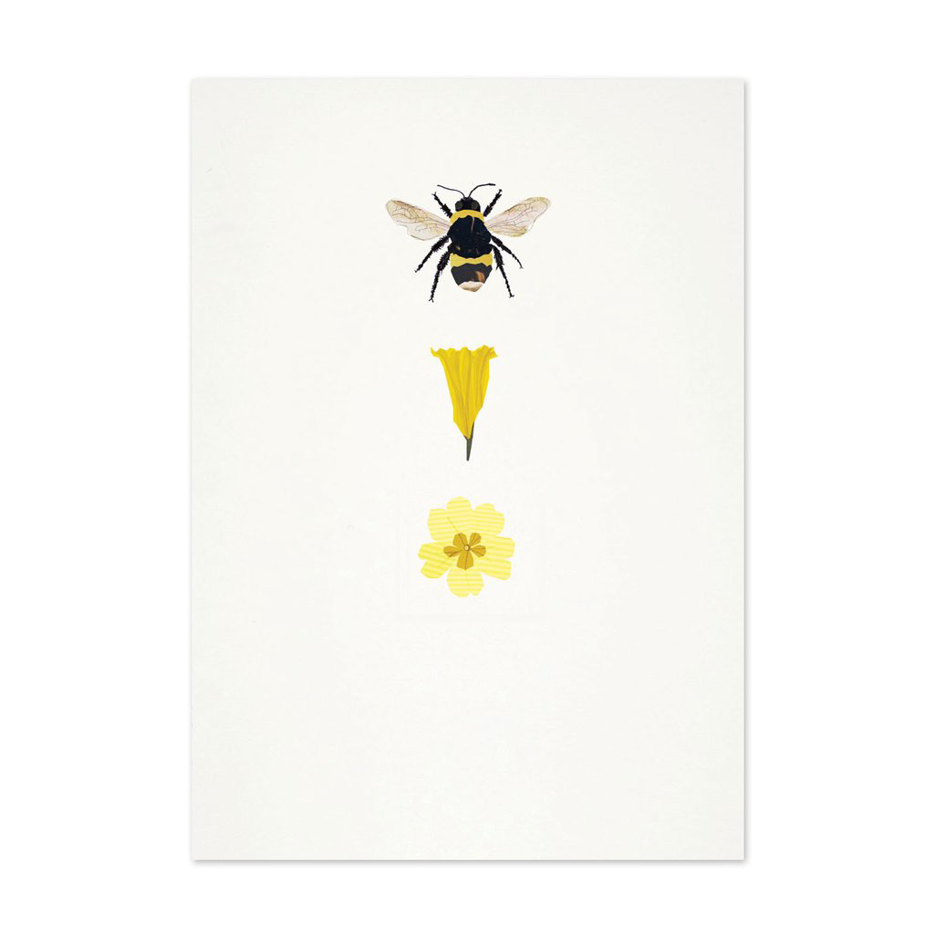 Bumblebee, Daffodil, Primrose