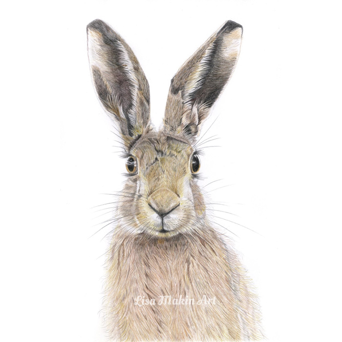 Hare Print