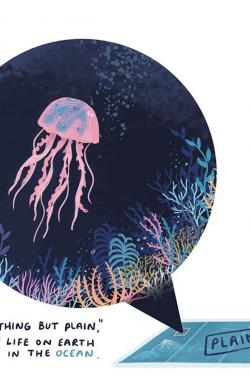 Aora Marine Ocean Illustration
