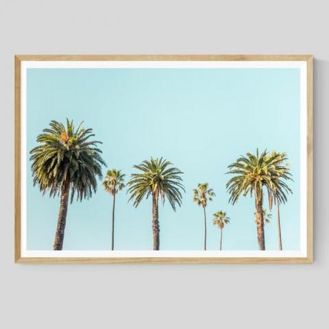 Palm Tree Tropical Print